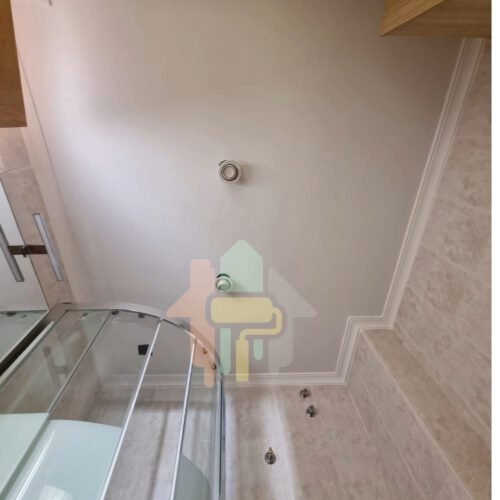 reparación de techos y pintura de techos https://pintoralicantefp.es/